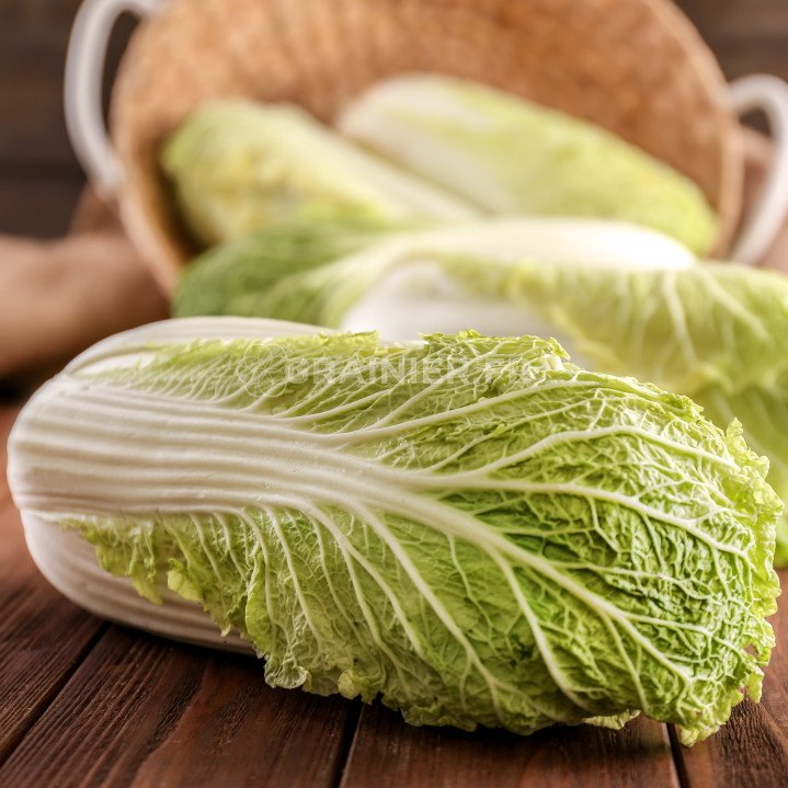 Chinese cabbage Granaat, Pe-Tsaï, Brassica Pekinensis image